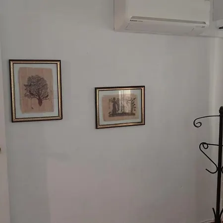Casa Del Buho *