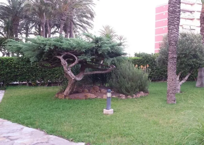 Casa Del Buho Torrevieja