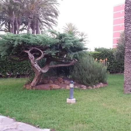 Casa Del Buho 托雷维耶哈