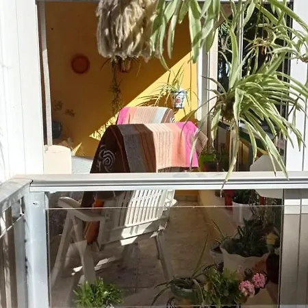 Casa Del Buho 公寓